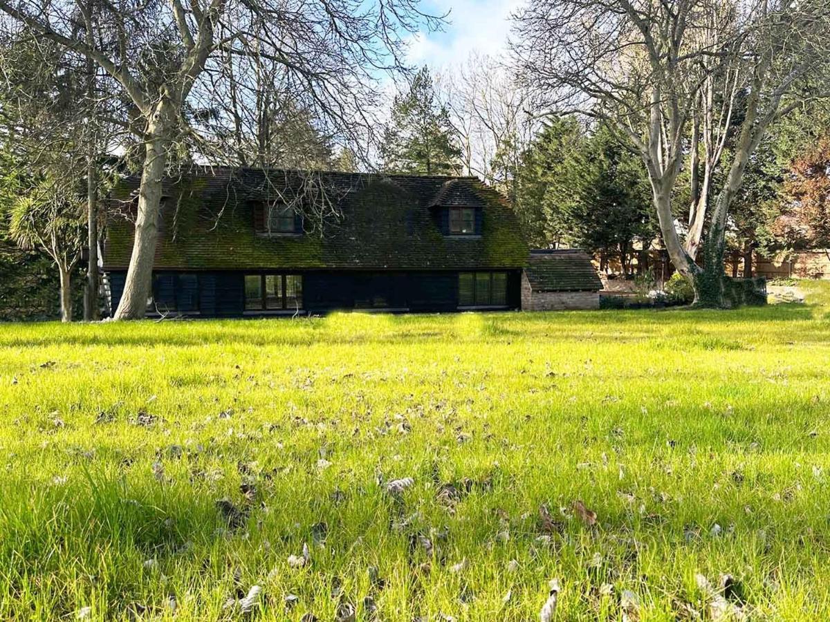 Forest Studio Apartment Gated Parking On 2 Acres Garden Chislehurst Eksteriør billede